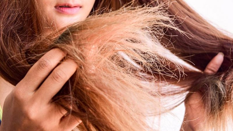 11 dicas eficazes para domar cabelos secos