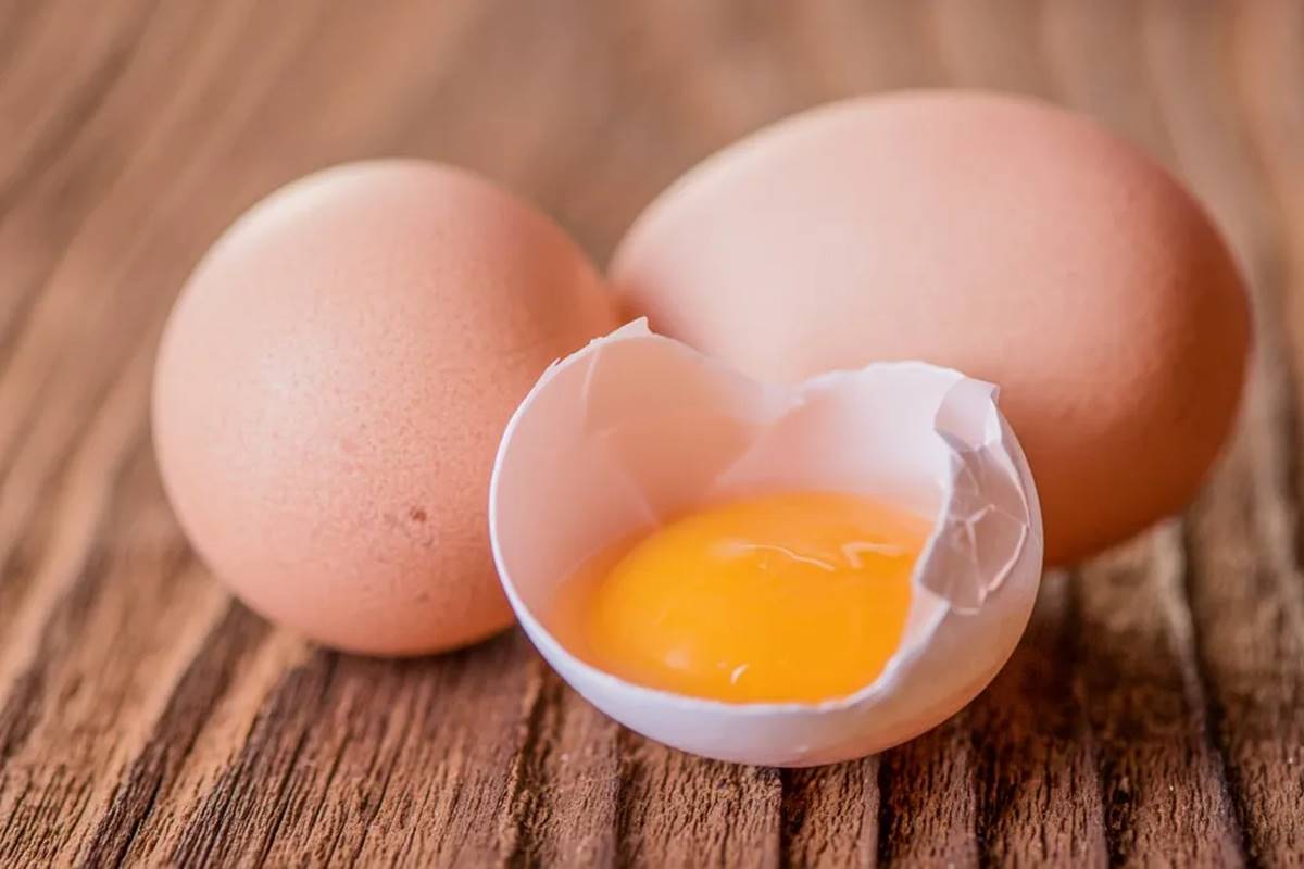 Veja o que acontece com seu corpo se comer 2 ovos por dia por um longo período