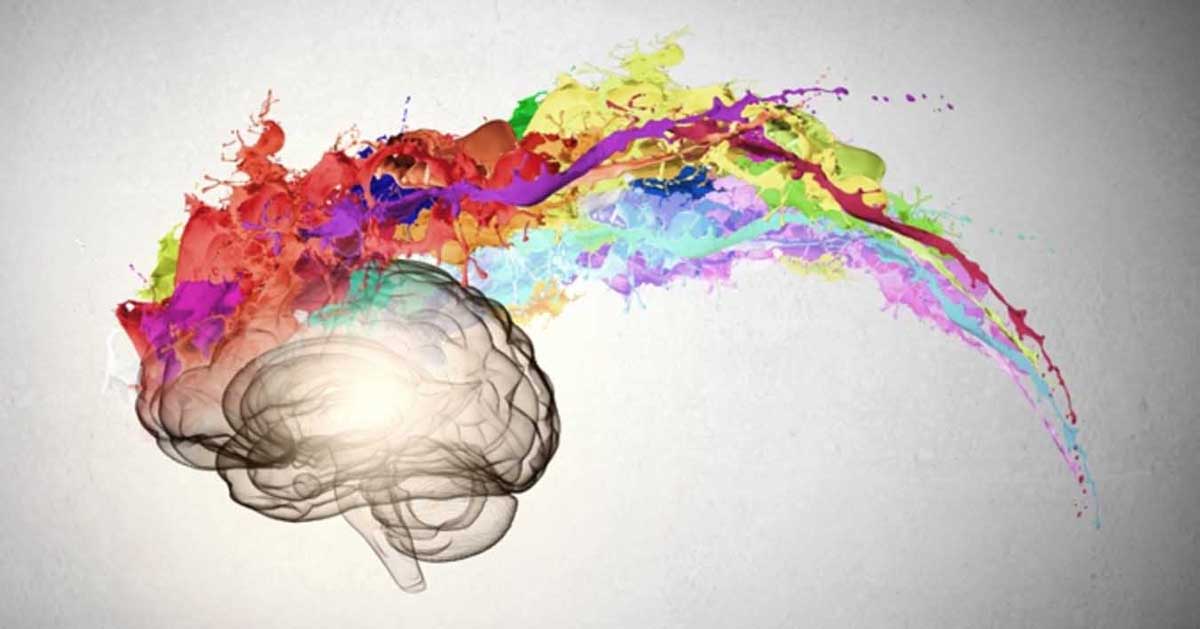 O cérebro permite explorar a criatividade de diversas maneiras