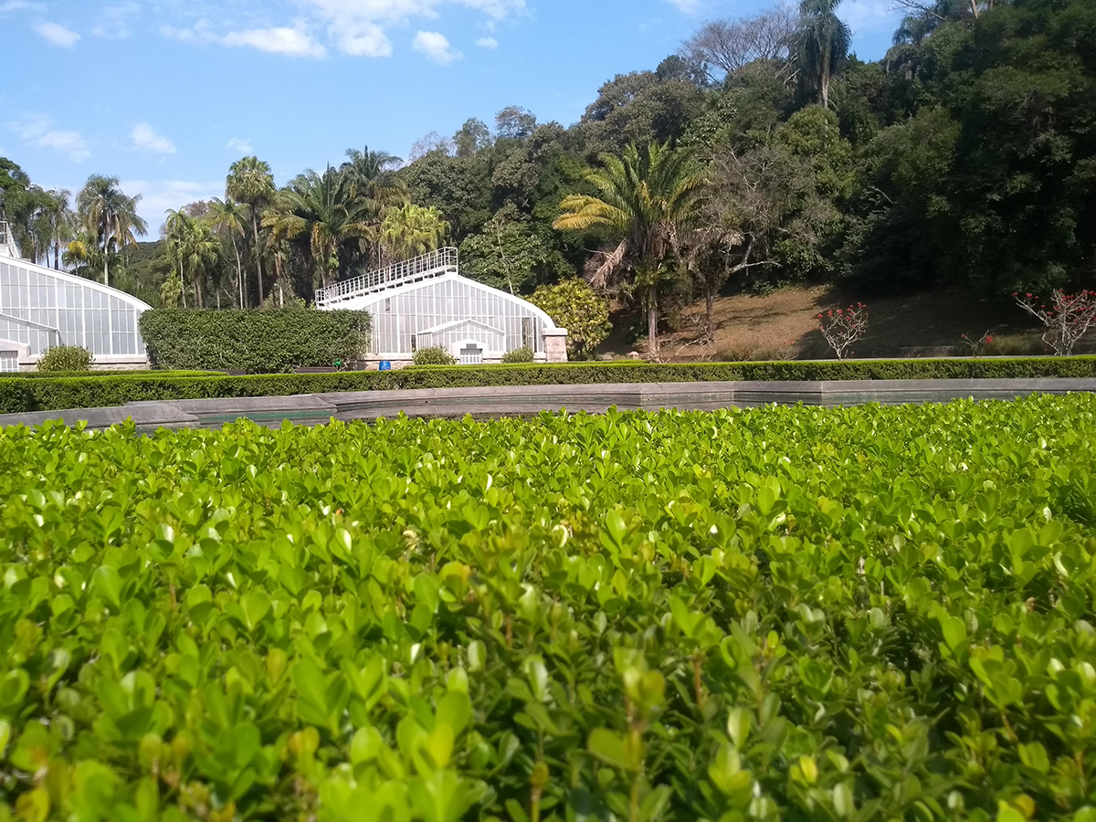 Parque - Jardim Botânico de São Paulo