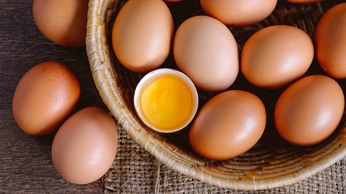 Como saber se o ovo está podre sem precisar quebrá-lo