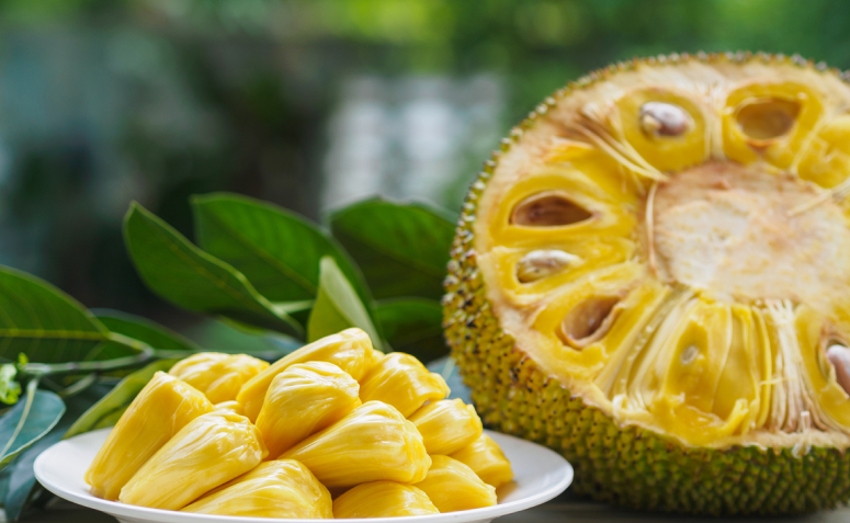 Suco de Jaca: Refrescante e Nutritivo para Dias Quentes